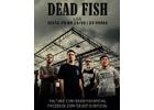 Dead Fish