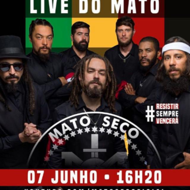 Mato Seco