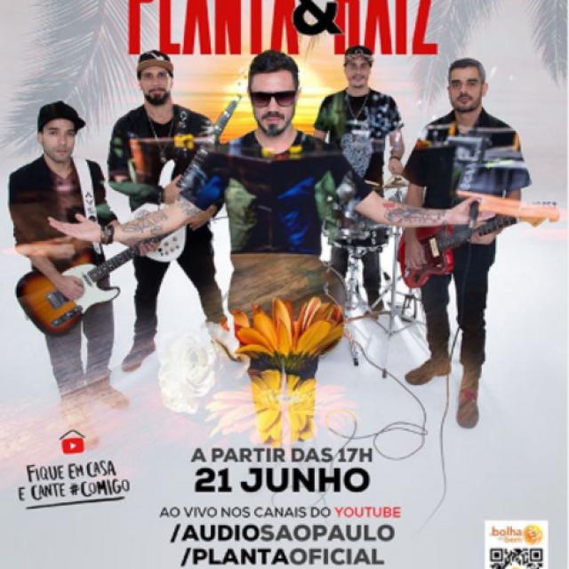 Planta e Raiz