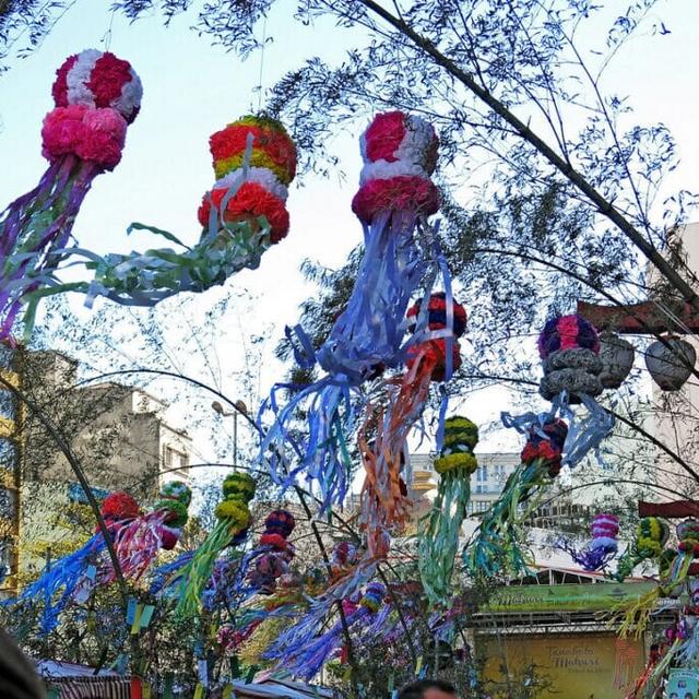 Festival das Estrelas