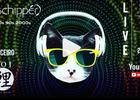 Dj Schipper