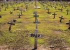 Brasil atinge 300 mil mortos por Covid-19 um dia após recorde de mais de 3 mil vidas perdidas em 24 horas