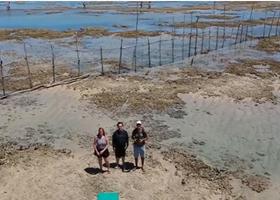 Alagoas e Seus Encantos