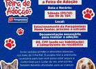 Paragominas Home Center promove 1a Feira de Adoção de Animais em parceria com o Projeto Acolher.