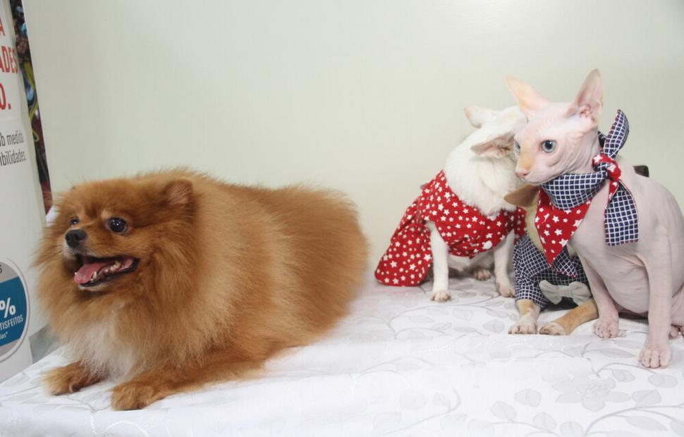 15-anos-clinica-veterinaria-quatro-patas-26-10-2021_0028