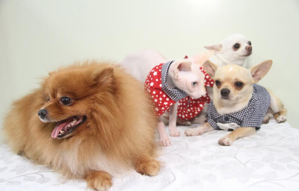 15-anos-clinica-veterinaria-quatro-patas-26-10-2021_0029