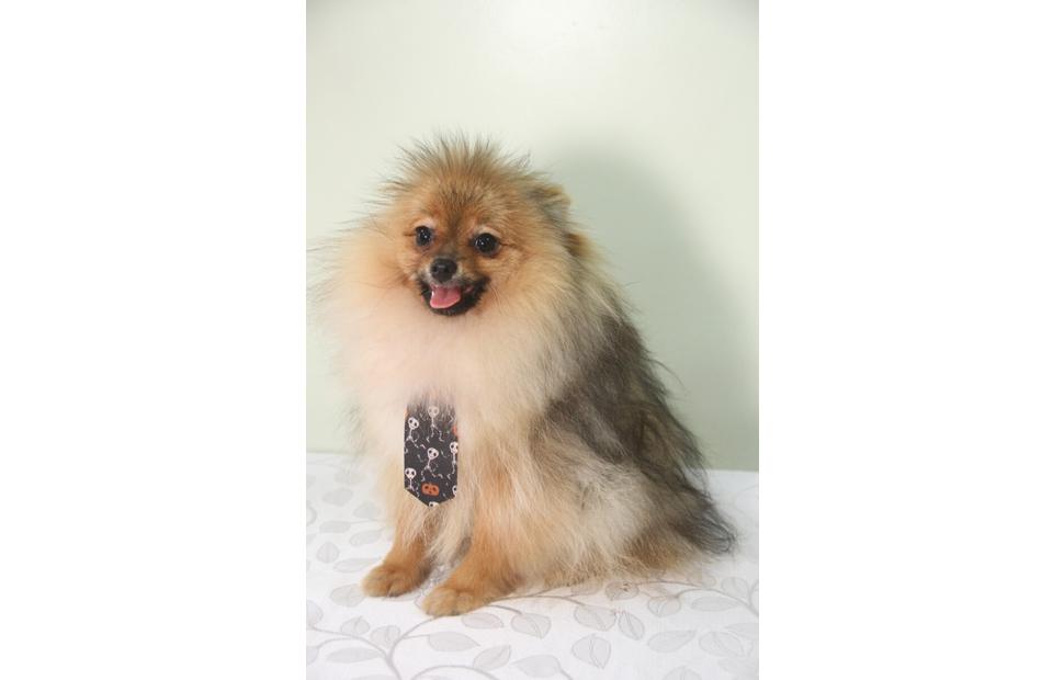 15-anos-clinica-veterinaria-quatro-patas-26-10-2021_0103