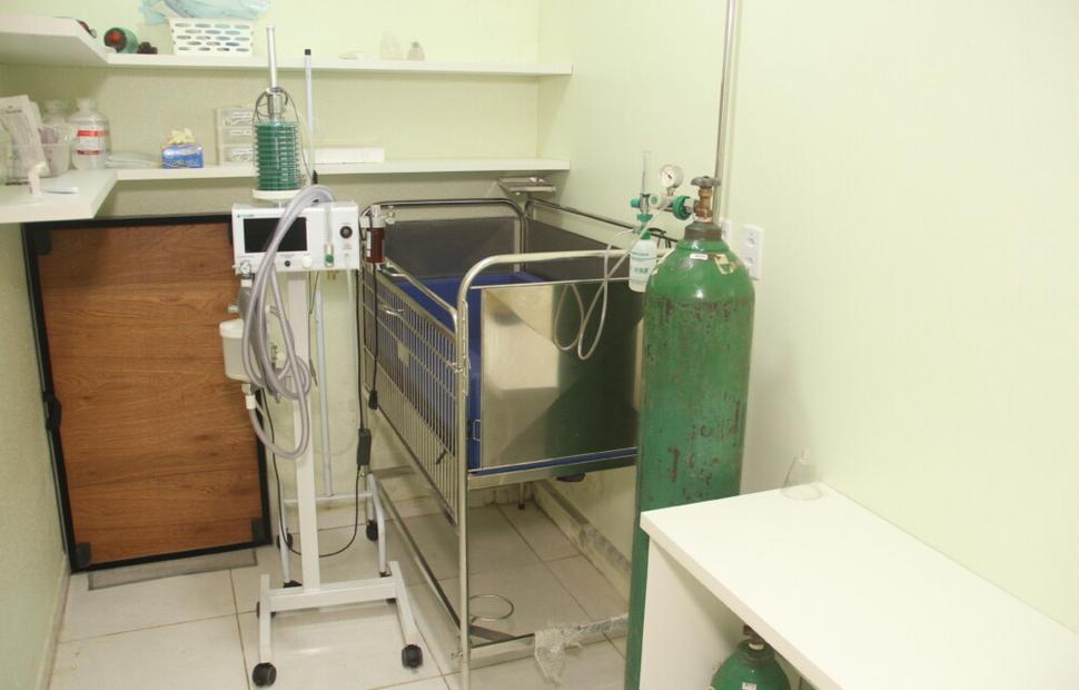 15-anos-clinica-veterinaria-quatro-patas-26-10-2021_0147