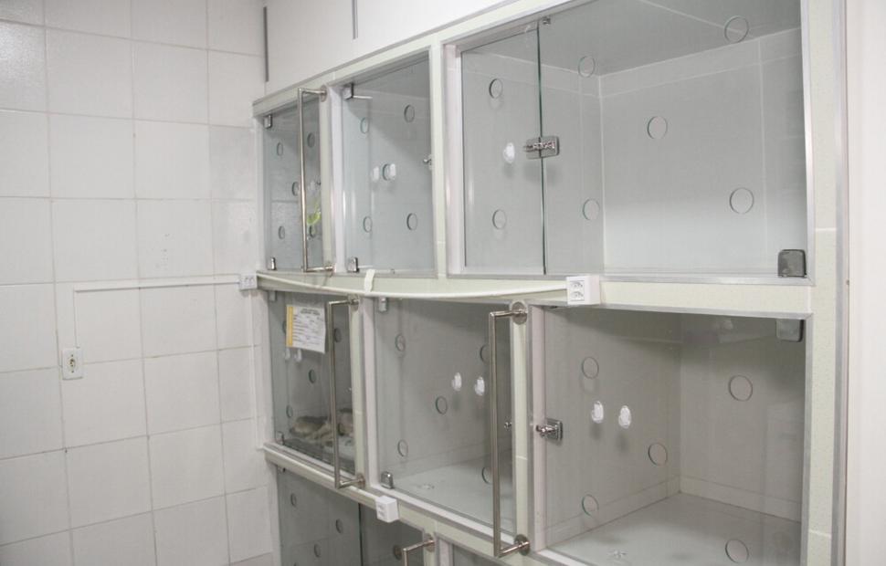 15-anos-clinica-veterinaria-quatro-patas-26-10-2021_0149