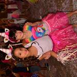 carnaval-escola-santa-ursula-2018-100