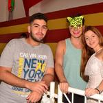 carnaval-escola-santa-ursula-2018-206