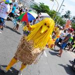 Pinto-da-madrugada 2012-prévias-de-maceió_0072