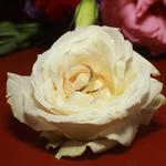 casamento-mavi-cavalcante-e -cleyson-gama-19-03-2022-espaço-agenda_1217