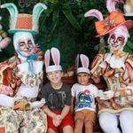 toca-do-coelho-maceio-shopping-maceio-40-grasus-2022591