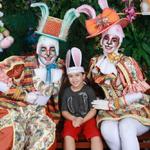 toca-do-coelho-maceio-shopping-maceio-40-grasus-2022593