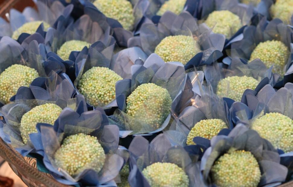 52-anos-nísia-salão-reviver-2022-maceio-40-graus_0211