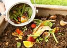 Processo de compostagem contribui para reutilizar rejeitos e resíduos