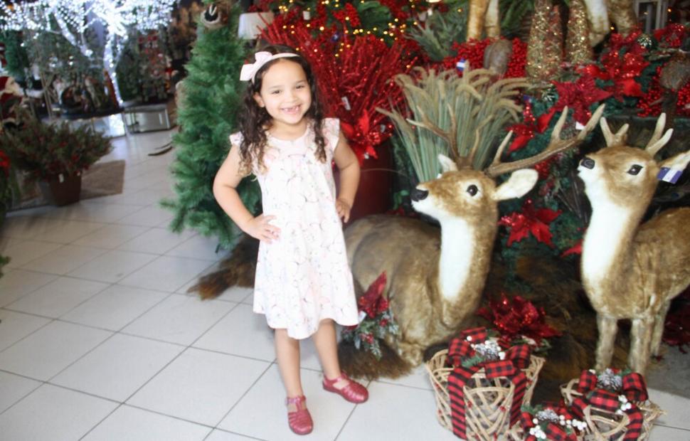 Resize of PH-Casa-lançamento-natal-luz 03-10-2022_0055