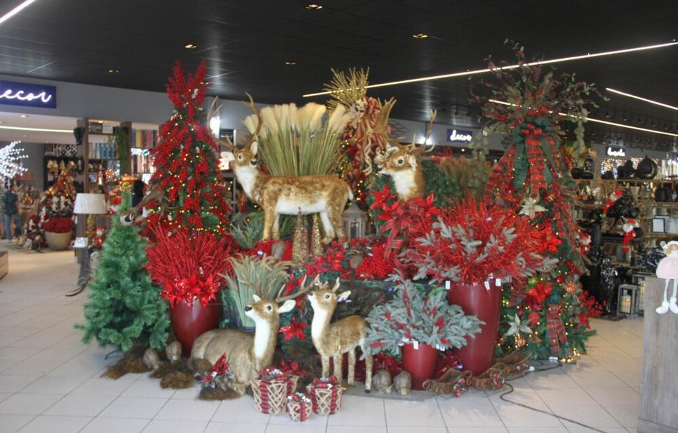 Resize of PH-Casa-lançamento-natal-luz 03-10-2022_0119