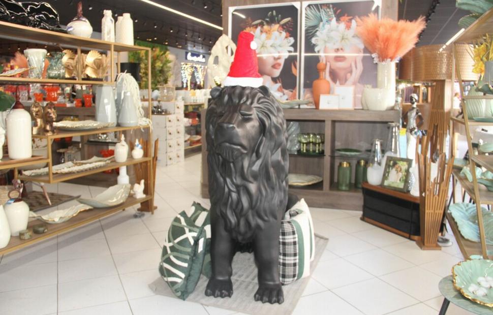 Resize of PH-Casa-lançamento-natal-luz 03-10-2022_0121