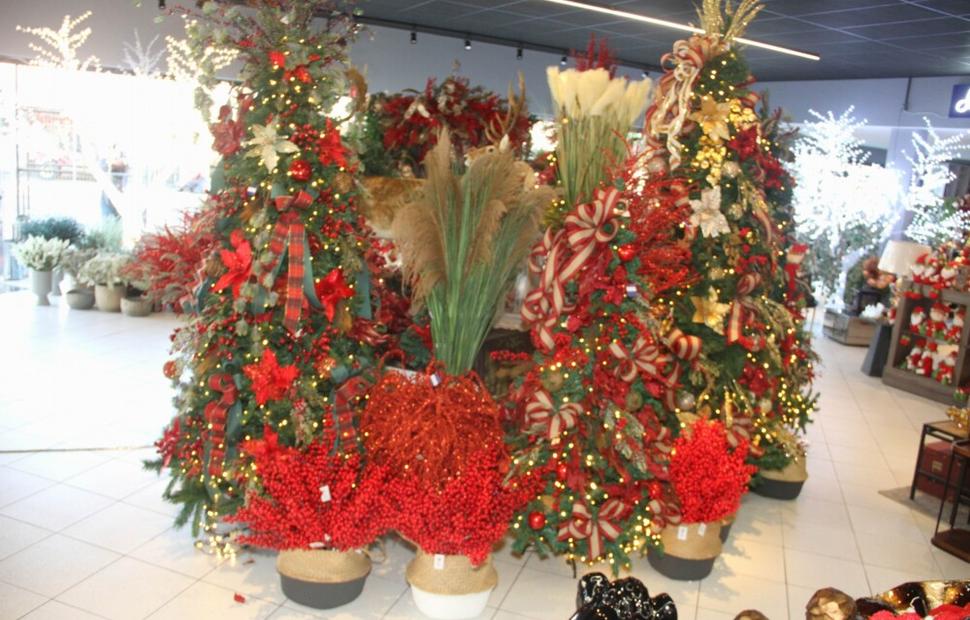 Resize of PH-Casa-lançamento-natal-luz 03-10-2022_0133