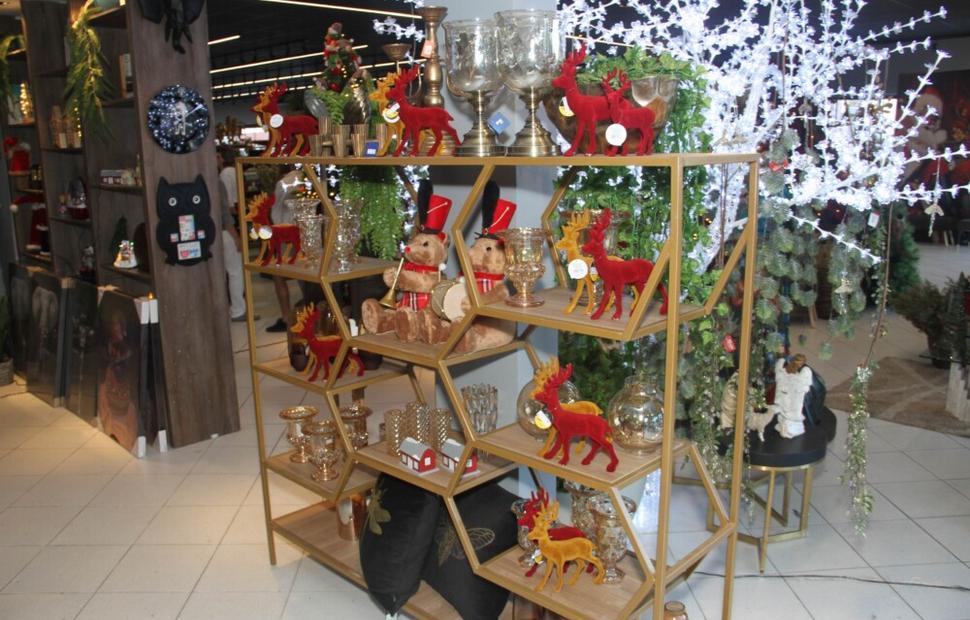 Resize of PH-Casa-lançamento-natal-luz 03-10-2022_0137