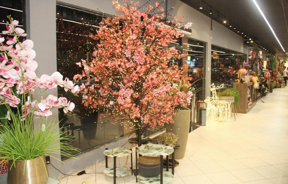 Resize of PH-Casa-lançamento-natal-luz 03-10-2022_0152