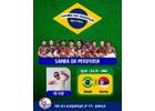 Samba do Jaraguá na Copa