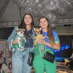 Fashion Auweek – Clínica Quatro Patas