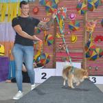 bailinho-pet-maceio-shopping-22-02-2023 (46)