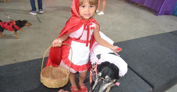 Bailinho Pet – Maceió Shopping