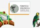 Projeto da Ufal cria primeira Fonoteca Zoológica de Alagoas