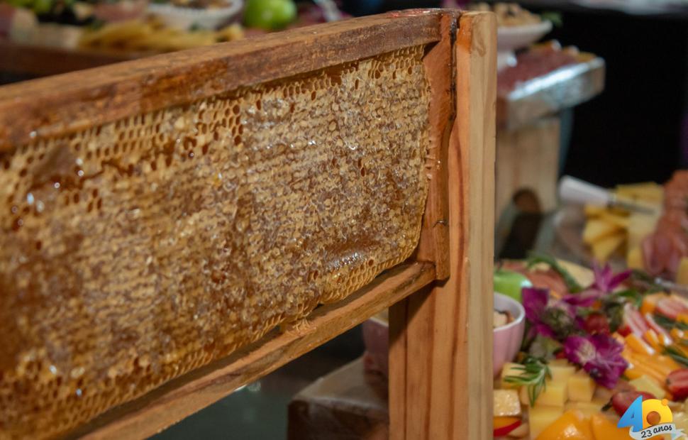 XVI-concurso-brasileiro-de-sommeliers-Maceió-25-11-2023 (266)