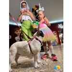 Bailinho-Kids-Maceio-shopping-12-02-2024 (246)
