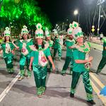 Desfile-das-escolas-de-samba-de-maceió-1-02-2024 (110)