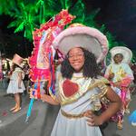 Desfile-das-escolas-de-samba-de-maceió-1-02-2024 (134)