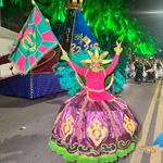 Desfile-das-escolas-de-samba-de-maceió-1-02-2024 (143)