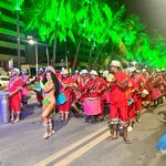 Desfile-das-escolas-de-samba-de-maceió-1-02-2024 (164)