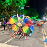Desfile-das-escolas-de-samba-de-maceió-1-02-2024 (2)