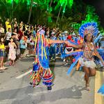 Desfile-das-escolas-de-samba-de-maceió-1-02-2024 (28)