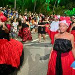 Desfile-das-escolas-de-samba-de-maceió-1-02-2024 (34)