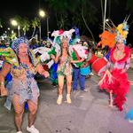 Desfile-das-escolas-de-samba-de-maceió-1-02-2024 (40)