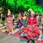 Desfile-das-escolas-de-samba-de-maceió-1-02-2024 (53)