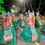 Desfile-das-escolas-de-samba-de-maceió-1-02-2024 (55)