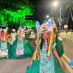 Desfile-das-escolas-de-samba-de-maceió-1-02-2024 (56)