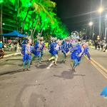 Desfile-das-escolas-de-samba-de-maceió-1-02-2024 (66)