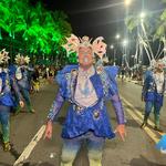 Desfile-das-escolas-de-samba-de-maceió-1-02-2024 (68)
