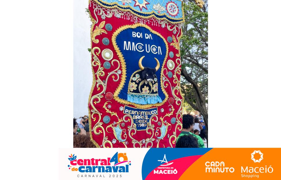 cortejo-do-boi-da-macuca-Mercado-31-08-02-2024 (23)