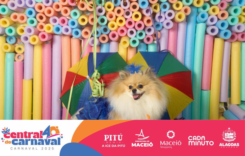 Bailinho-Pet-Maceio-Shopping-05-03-2024 (101)