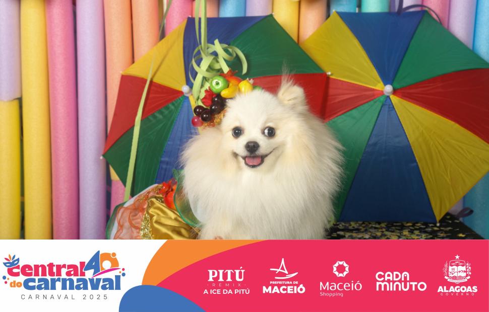 Bailinho-Pet-Maceio-Shopping-05-03-2024 (102)